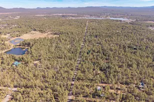 1442 Winter Pine Ln, Lakeside, AZ 85929 - Photo 30