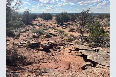 51 N9087, Concho, AZ 85924 - Photo 1
