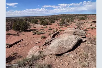 51 N9087, Concho, AZ 85924 - Photo 6