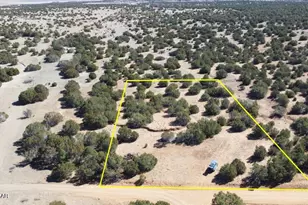 96 Cr3041, Concho, AZ 85924 - Photo 1