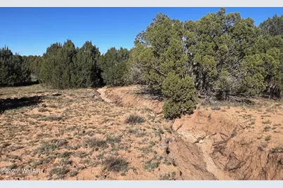 96 Cr3041, Concho, AZ 85924 - Photo 14
