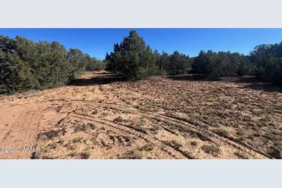 96 Cr3041, Concho, AZ 85924 - Photo 4