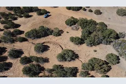 96 Cr3041, Concho, AZ 85924 - Photo 16