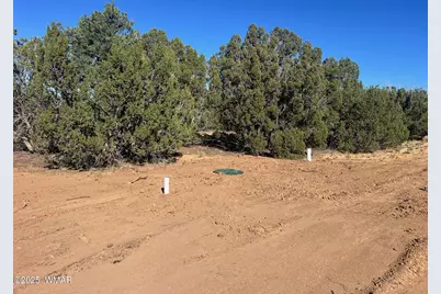 96 Cr3041, Concho, AZ 85924 - Photo 1