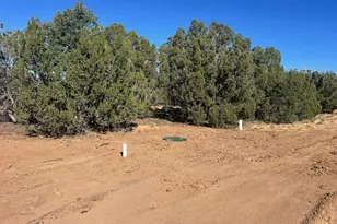 96 Cr3041, Concho, AZ 85924 - Photo 1