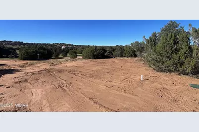 96 Cr3041, Concho, AZ 85924 - Photo 12