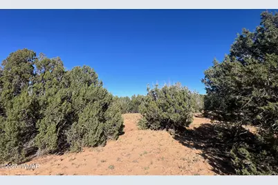 96 Cr3041, Concho, AZ 85924 - Photo 6