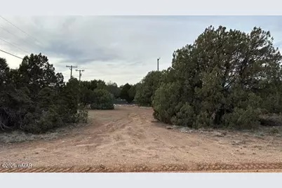 1834 Bourdon Street, Show Low, AZ 85901 - Photo 6