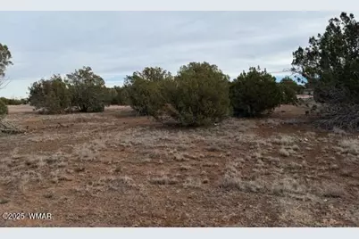 1834 Bourdon Street, Show Low, AZ 85901 - Photo 1