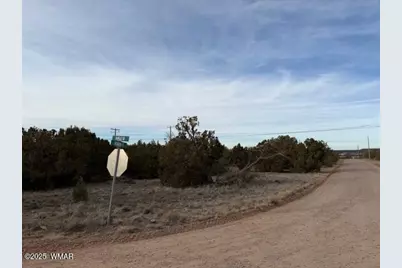 1834 Bourdon Street, Show Low, AZ 85901 - Photo 4