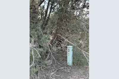 1834 Bourdon Street, Show Low, AZ 85901 - Photo 8