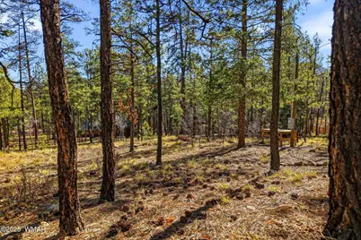 20 Co Rd 2067, Alpine, AZ 85920 - Photo 2