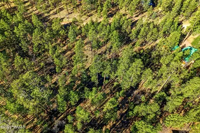 20 Co Rd 2067, Alpine, AZ 85920 - Photo 14