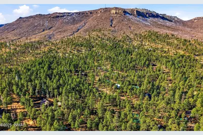 20 Co Rd 2067, Alpine, AZ 85920 - Photo 6