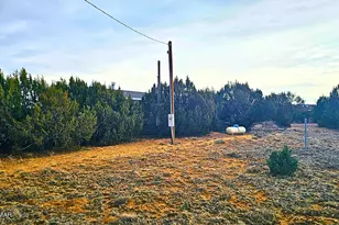 55 N Country Club Ln Dr, Concho, AZ 85924 - Photo 24