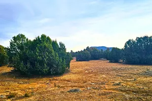 55 N Country Club Ln Dr, Concho, AZ 85924 - Photo 26