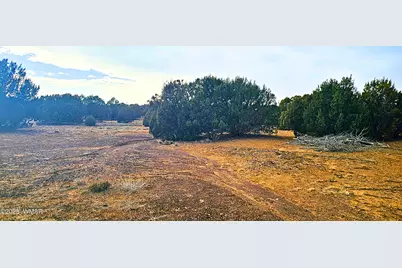 55 N Country Club Lane Drive, Concho, AZ 85924 - Photo 24