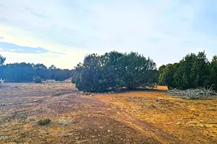 55 N Country Club Ln Dr, Concho, AZ 85924 - Photo 24