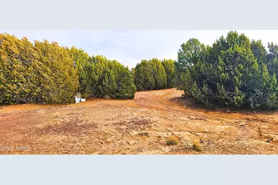 55 N Country Club Lane Drive, Concho, AZ 85924 - Photo 26