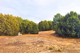 55 N Country Club Ln Dr, Concho, AZ 85924 - Photo 26