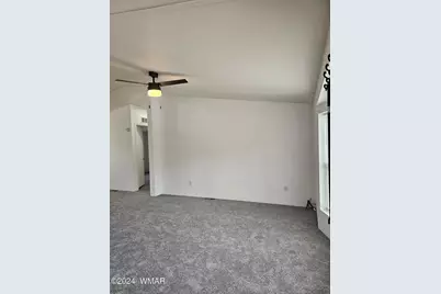 3078 Rainbow Lake Drive, Lakeside, AZ 85929 - Photo 4