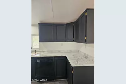 3078 Rainbow Lake Drive, Lakeside, AZ 85929 - Photo 24