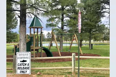 2677 Palomino Trail, Overgaard, AZ 85933 - Photo 44