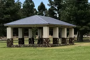 2677 Palomino Trail, Overgaard, AZ 85933 - Photo 46