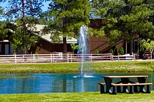 2677 Palomino Trail, Overgaard, AZ 85933 - Photo 46