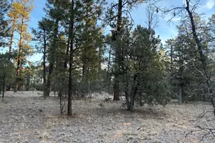 Tbd- R Hilltop, Lakeside, AZ 85929 - Photo 1