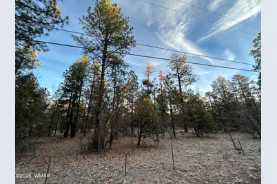 Tbd- R Hilltop, Lakeside, AZ 85929 - Photo 4