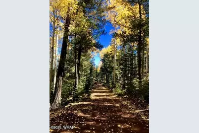 1061 Hillside Drive, Show Low, AZ 85901 - Photo 8