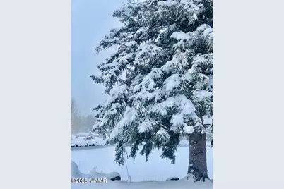 1061 Hillside Drive, Show Low, AZ 85901 - Photo 10