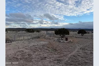 9959 Pioneer Trail, Show Low, AZ 85902 - Photo 38