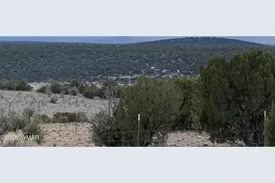 9959 Pioneer Trail, Show Low, AZ 85902 - Photo 40