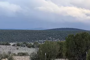 9959 Pioneer Trail, Show Low, AZ 85902 - Photo 40
