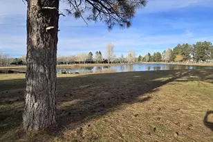 2417 Quarter Horse Trl, Overgaard, AZ 85933 - Photo 28