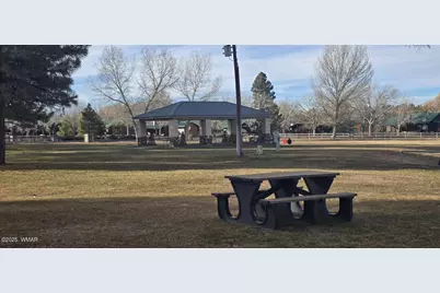 2417 Quarter Horse Trail, Unit 115 #115, Overgaard, AZ 85933 - Photo 30