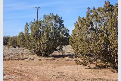 4726 Hay Hollow Road, Snowflake, AZ 85937 - Photo 8