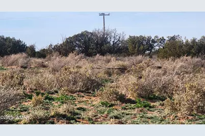 4726 Hay Hollow Road, Snowflake, AZ 85937 - Photo 12