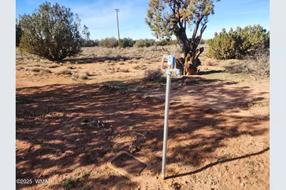 4726 Hay Hollow Road, Snowflake, AZ 85937 - Photo 6