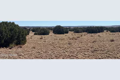 Lot 140 5525, Concho, AZ 85924 - Photo 8