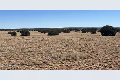 Lot 140 5525, Concho, AZ 85924 - Photo 6