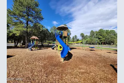 6690 Circle C Lane, Show Low, AZ 85901 - Photo 32