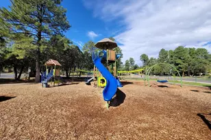 6690 Circle C Ln, Show Low, AZ 85901 - Photo 32