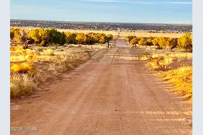 Tbd Co Rd N6659 36.25 Acres, Saint Johns, AZ 85936 - Photo 4