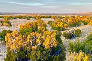 Tbd Co Rd N6659 36 25 Acres, Saint Johns, AZ 85936 - Photo 1