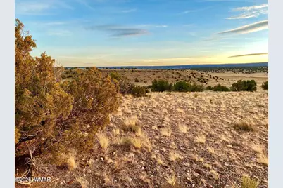 Tbd Co Rd N6659 36.25 Acres, Saint Johns, AZ 85936 - Photo 12