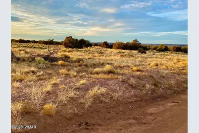 Tbd Co Rd N6659 36.25 Acres, Saint Johns, AZ 85936 - Photo 24