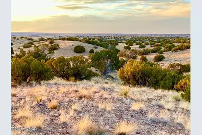Tbd Co Rd N6659 36.25 Acres, Saint Johns, AZ 85936 - Photo 14